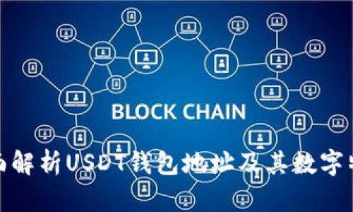 全面解析USDT钱包地址及其数字特征