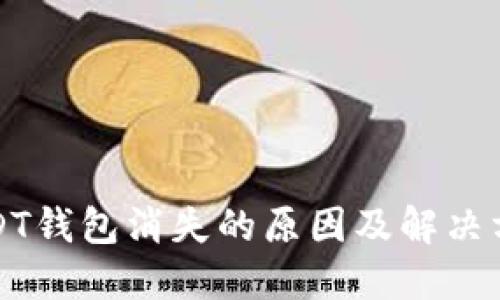 USDT钱包消失的原因及解决方案