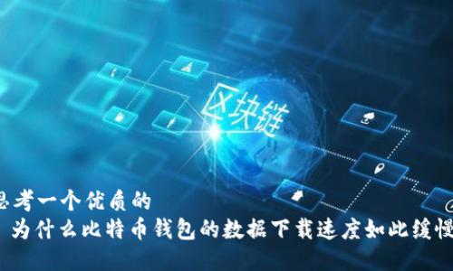 思考一个优质的  
: 为什么比特币钱包的数据下载速度如此缓慢？