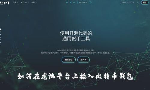 如何在龙池平台上接入比特币钱包