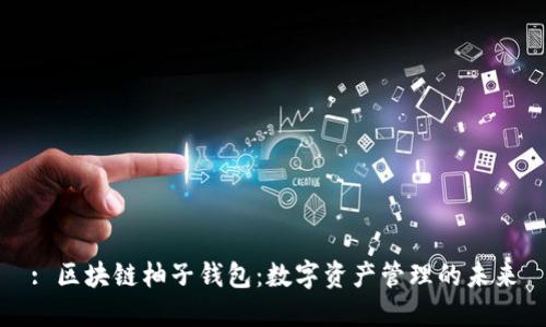 : 区块链柚子钱包：数字资产管理的未来
