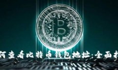 如何查看比特币钱包地址