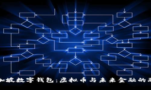 新加坡数字钱包：虚拟币与未来金融的融合