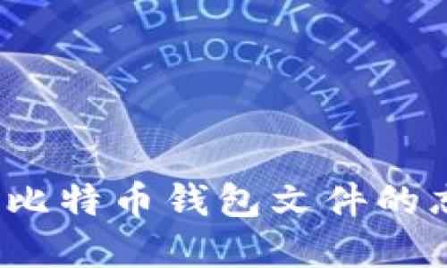 如何找回比特币钱包文件的忘记密码？