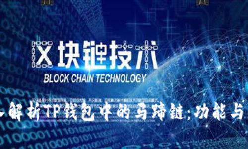 深入解析TP钱包中的马蹄链：功能与应用