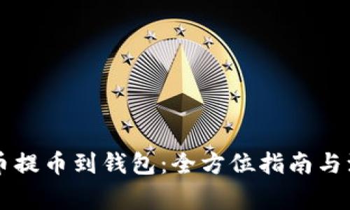 虚拟货币提币到钱包：全方位指南与注意事项