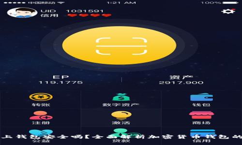 虚拟币上钱包安全吗？全面解析加密货币钱包的安全性