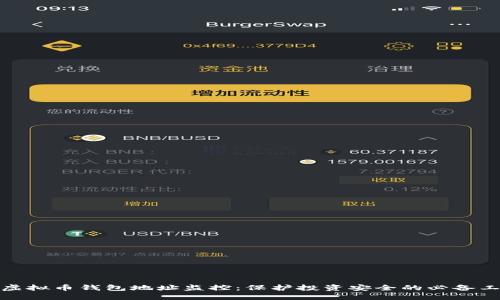 : 虚拟币钱包地址监控：保护投资安全的必备工具