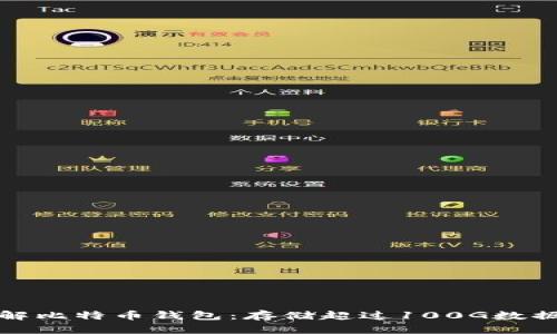 深入了解比特币钱包：存储超过100G数据的意义