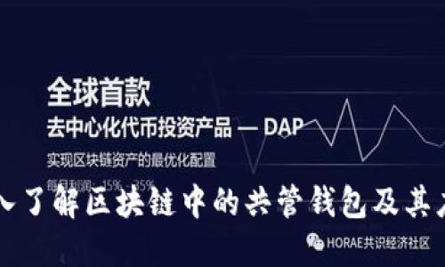 深入了解区块链中的共管钱包及其应用