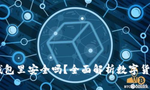 USDT在钱包里安全吗？全面解析数字货币安全性