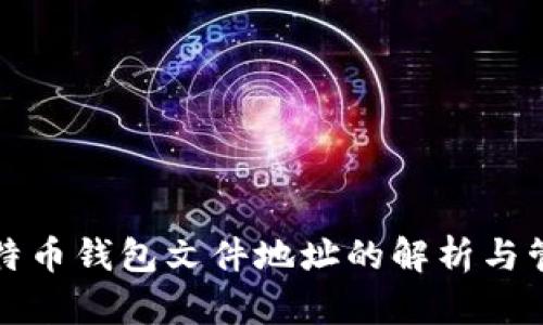 比特币钱包文件地址的解析与管理