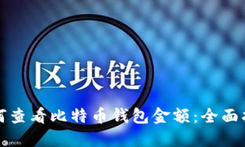如何查看比特币钱包金额：全面指南