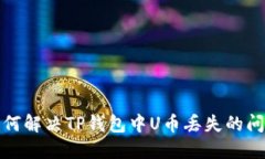 如何解决TP钱包中U币丢失的问题