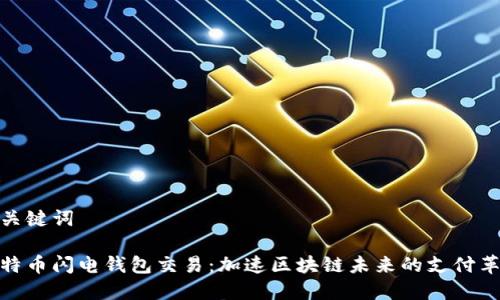 和关键词

比特币闪电钱包交易：加速区块链未来的支付革命