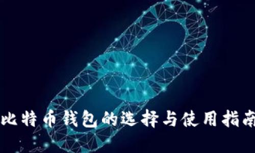 比特币钱包的选择与使用指南