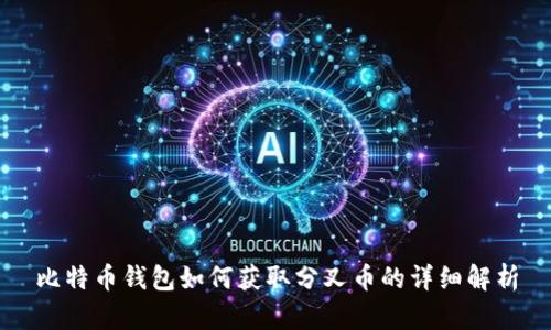 比特币钱包如何获取分叉币的详细解析