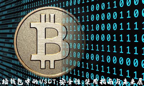 
波场钱包中的USDT：安全性、使用指南与未来展望
