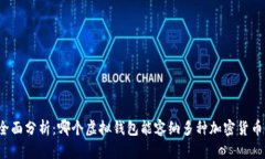 全面分析：哪个虚拟钱包