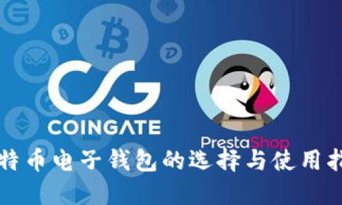 比特币电子钱包的选择与使用指南