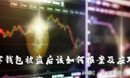 tp数字钱包被盗后该如何报案及应对措施